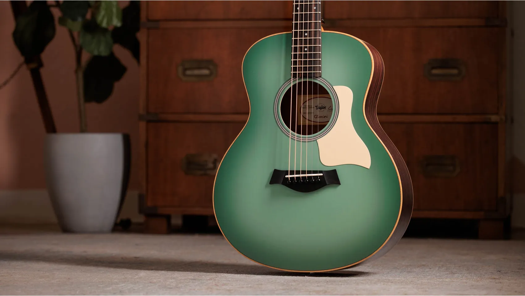 Taylor-GS-Mini-e-Special-
